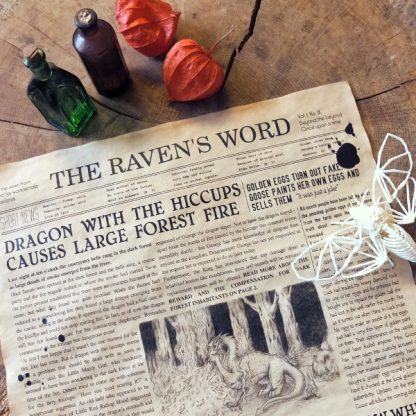The Raven's Word 1st Edition - Main image