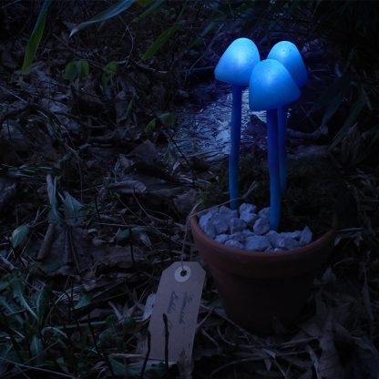 Mushroom light at night in nature